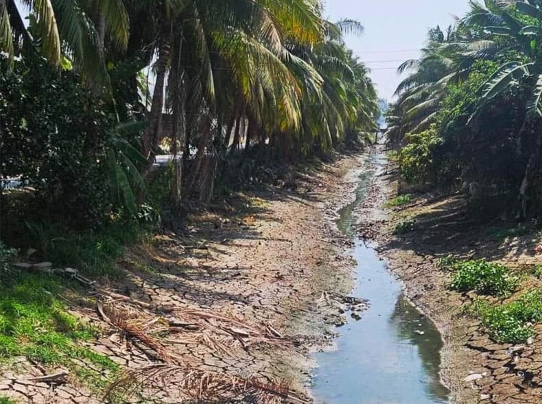 Nước đã cạn đáy trên kênh thủy lợi ở vùng Ngọt hóa Gò Công - Tiền Giang 