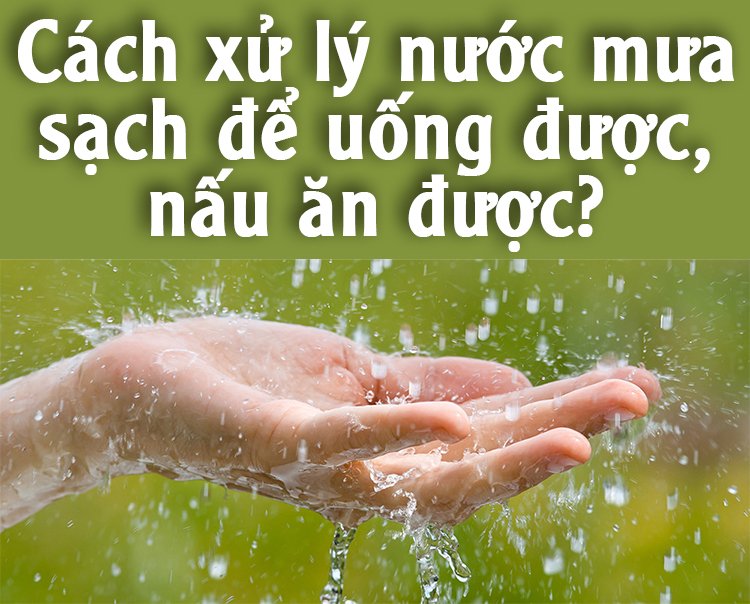 cach-xu-ly-nuoc-mua-co-the-uong-duoc