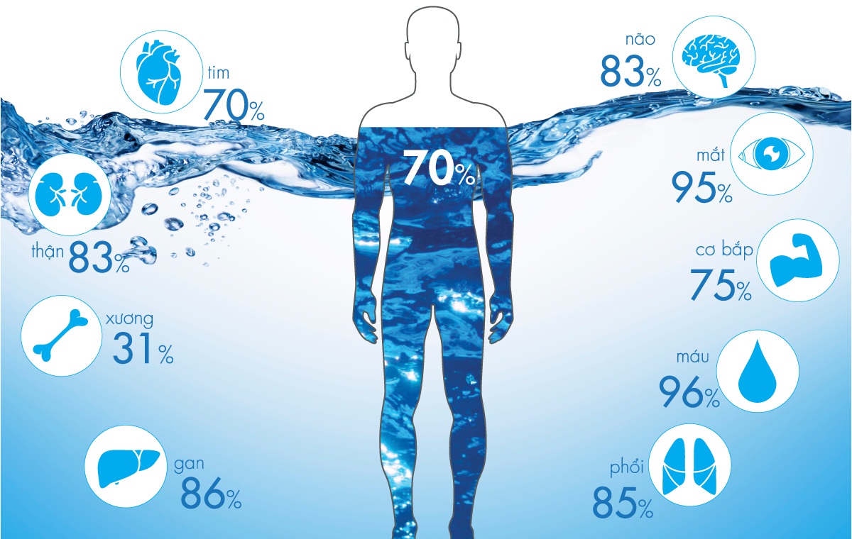 7 Vai trò của nước sạch đối với cơ thể con người