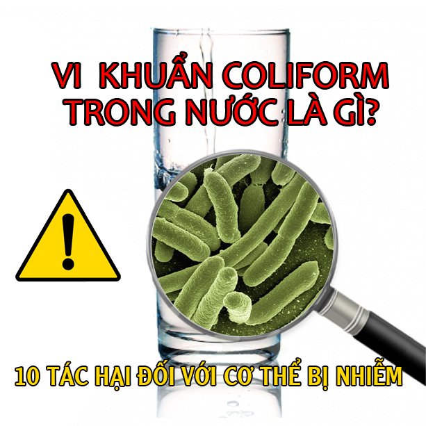 vi-khuan-coliform-la-gi