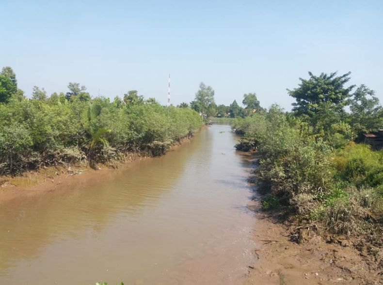 Nước nhiễm mặn tại Tiền Giang
