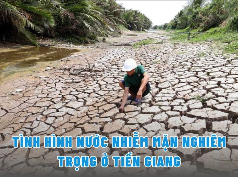 Cập nhật Tình hình nước mặn ở Tiền Giang mới nhất