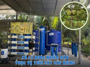 Xử lý nước mặn vườn sầu riêng Tiền Giang
