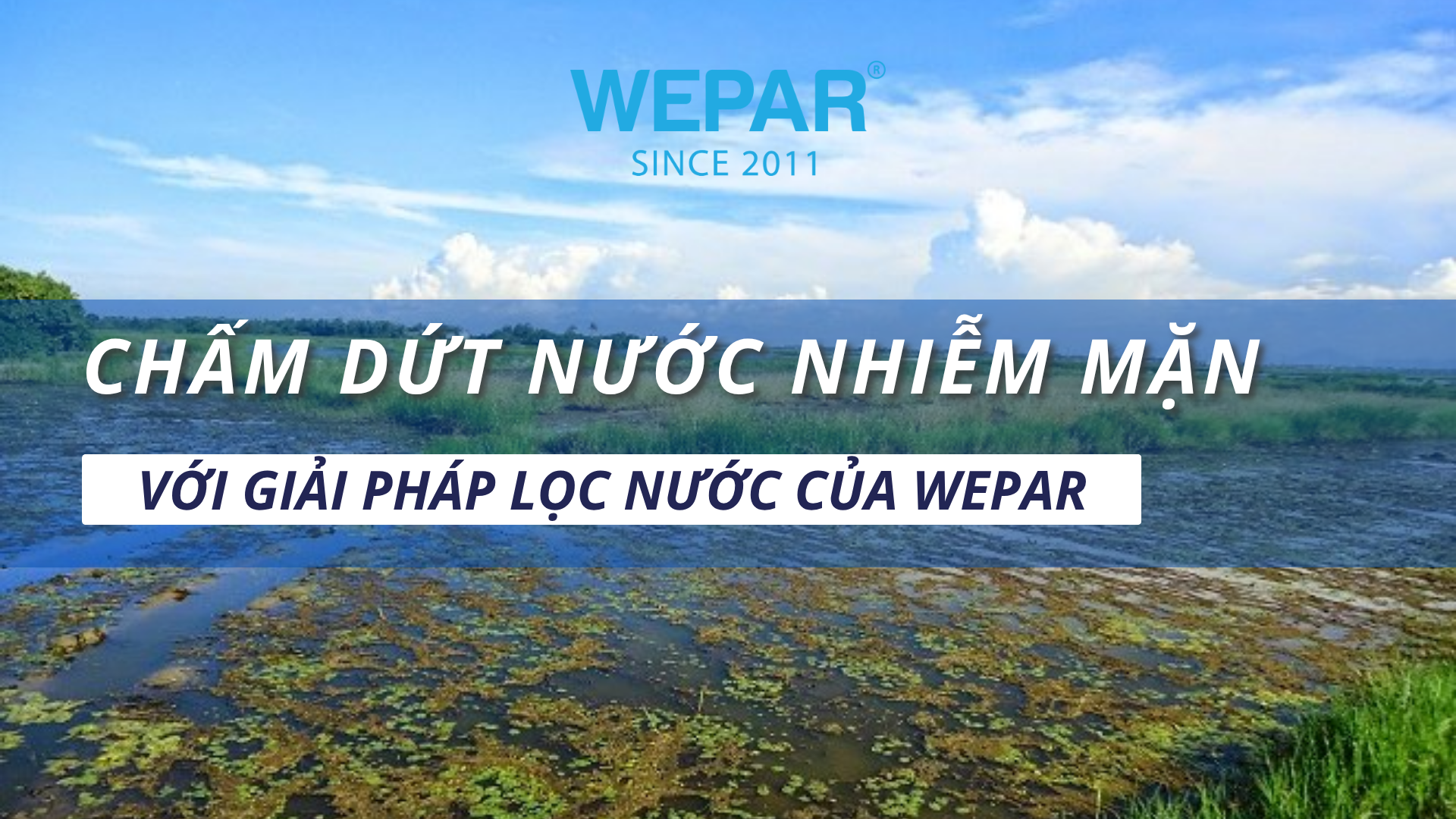 Chấm dứt nước nhiễm mặn với giải pháp lọc nước của Wepar