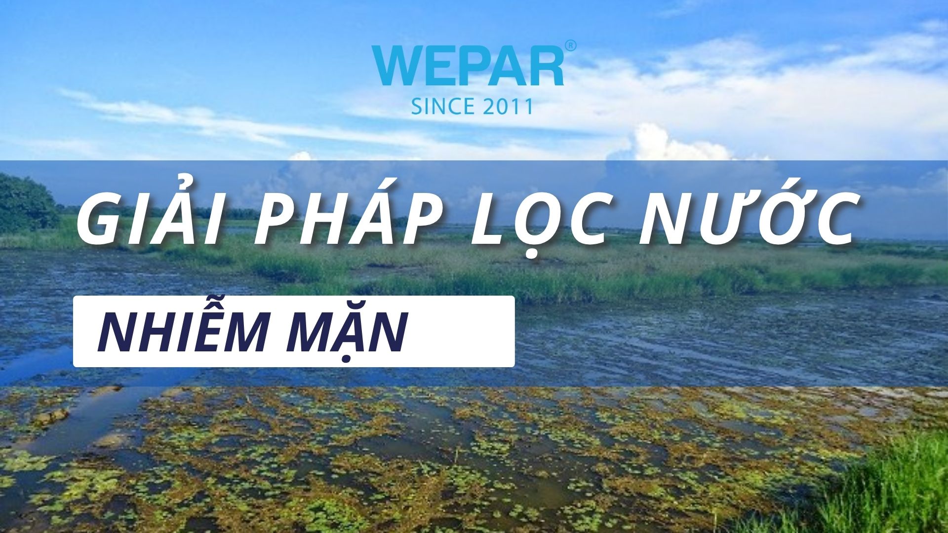 GIẢI PHÁP LỌC NƯỚC NHIỄM MẶN HIỆU QUẢ