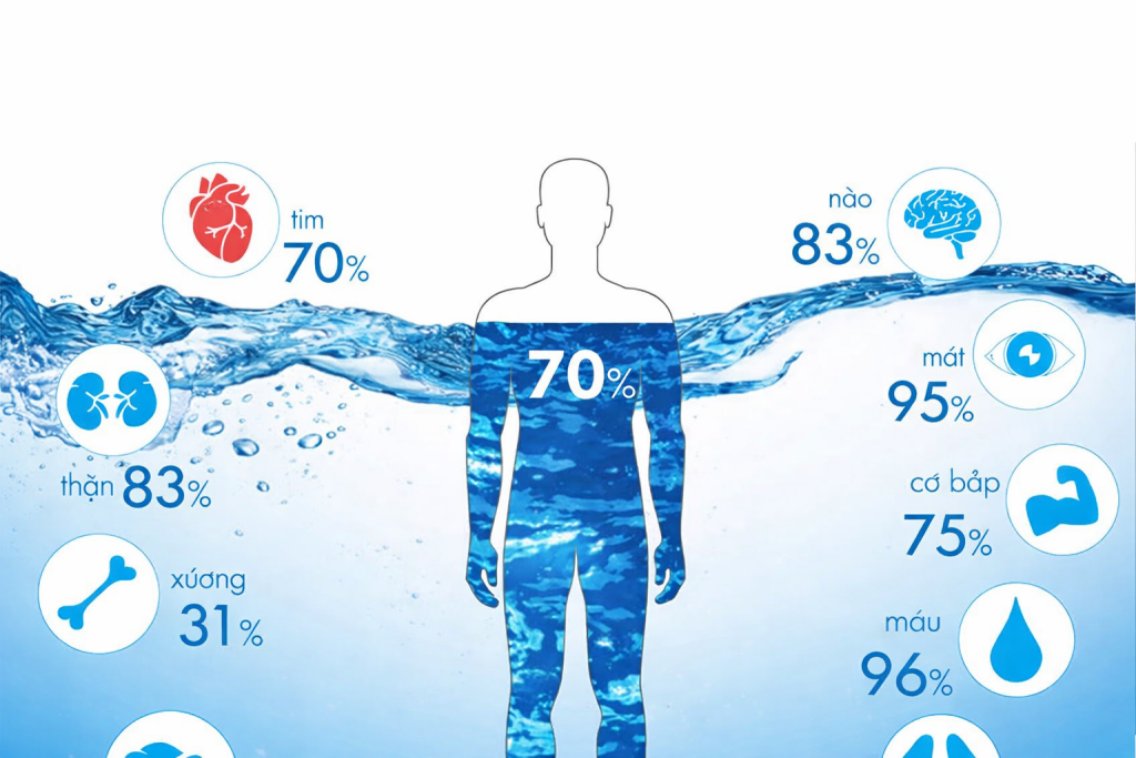 Lợi ích của nước cho cơ thể