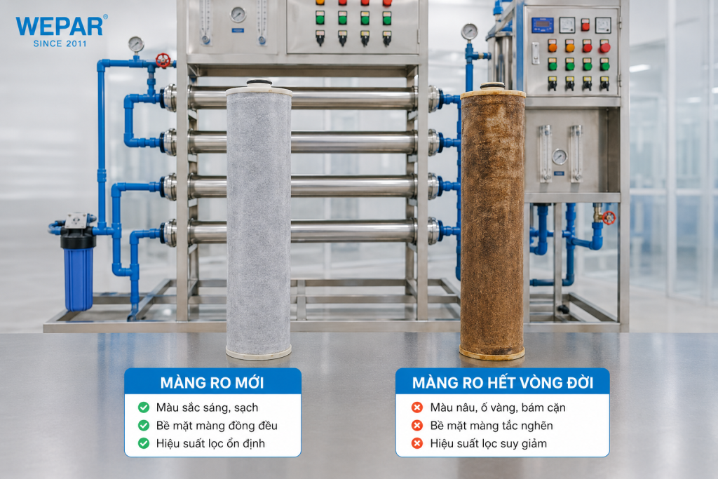 So sánh màng lọc RO công nghiệp mới và màng đã hết vòng đời sau thời gian vận hành